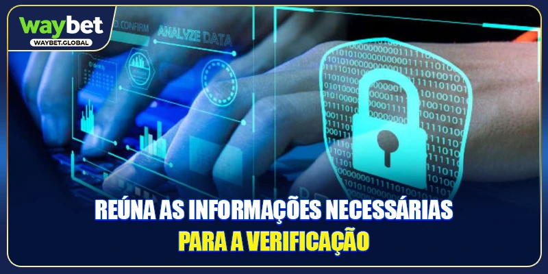 Reúna as informações necessárias para a verificação